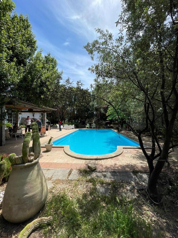 Big Relax Apartment With Swimming Pool And A Peaceful Garden In A Private Villa Sestu Ngoại thất bức ảnh