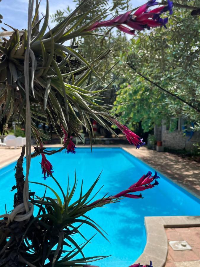 Big Relax Apartment With Swimming Pool And A Peaceful Garden In A Private Villa Sestu Ngoại thất bức ảnh